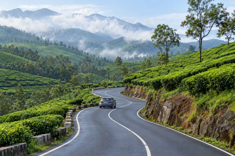 Car following a winding road through Munnar tea estates