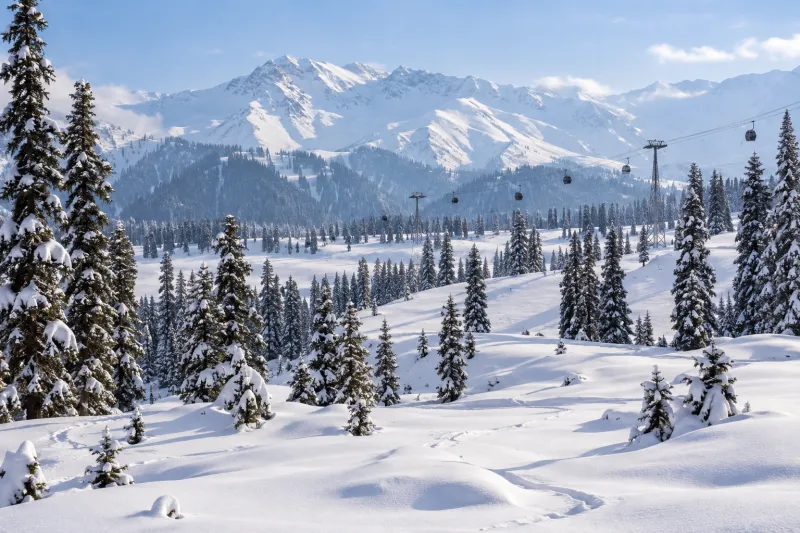 Snow-covered Gulmarg landscape with pines and distant gondola cabins