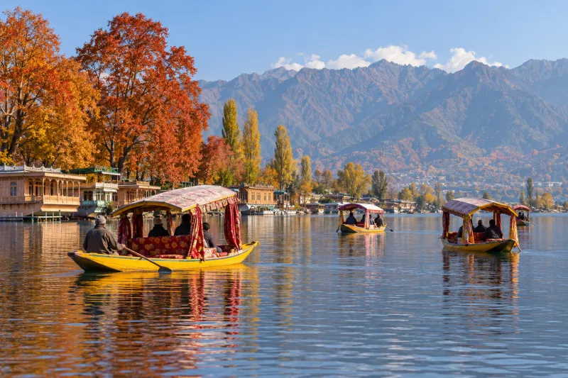 Colourful shikaras crossing Dal Lake during Srinagar autumn