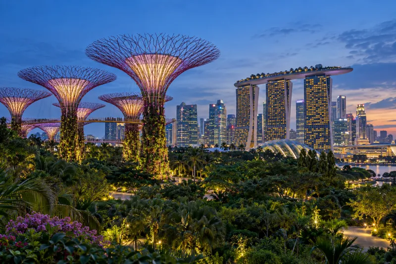 Gardens by the Bay Supertrees and Singapore skyline